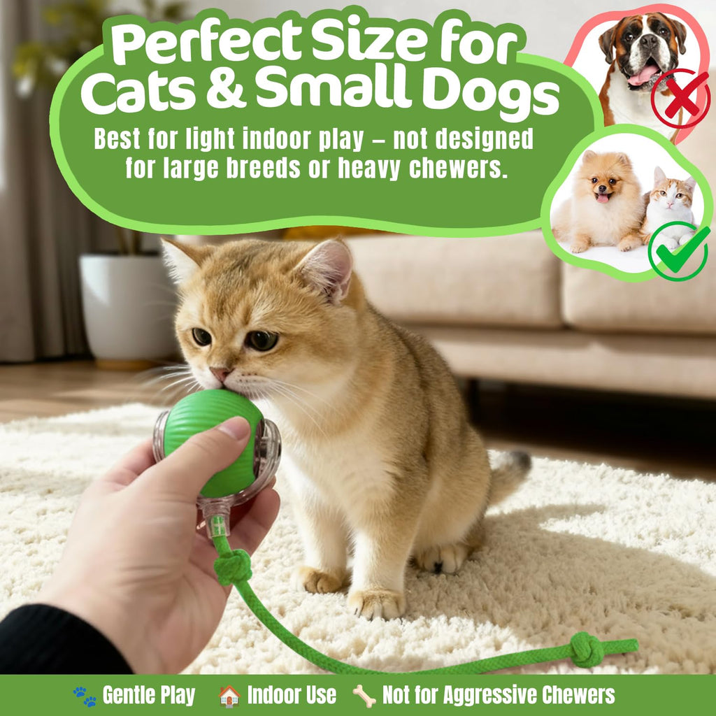 Cat Automatic Rotating Ball