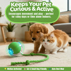 Cat Automatic Rotating Ball